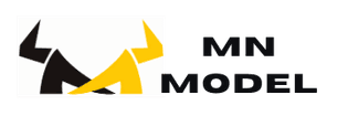 MN Model